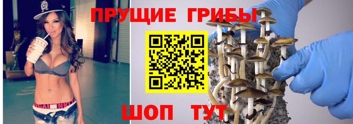 Семёнов  Галлюциногенные грибы Psilocybine cubensis  Вход с VPN 